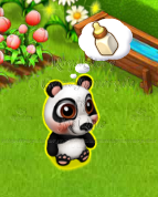 14 Panda