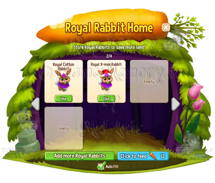 Royal Rabbit Home add more Royal Rabbits
