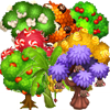 fruit Trees