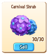 Carnival Shrub