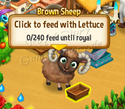 Baby Brown Sheep Feed until royal