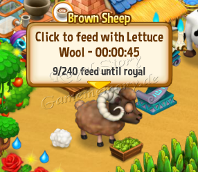 Baby Brown Sheep Feeding Time Adult