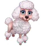 White Poodle