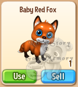 Baby red Fox