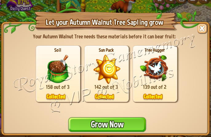 Fall-walnut-Sapling-grow-up