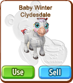 Baby-Winter-Cleydesdale-Inventory