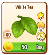 White-Tea-Shop-New