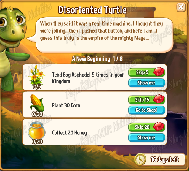 1 Disoriented Turtle _opt